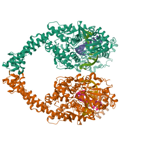 RCSB PDB - 5ZAD: Human topoisomerase II beta in complex with DNA