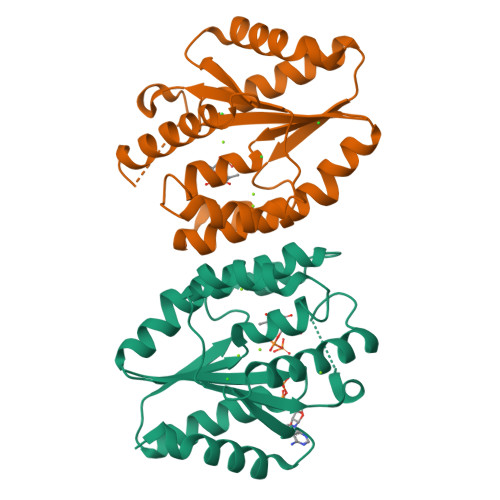 RCSB PDB - 5ZAX: Crystal structure of thymidylate kinase in complex ...