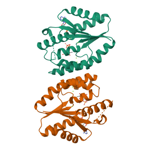 RCSB PDB - 5ZB0: Crystal structure of thymidylate kinase in complex ...