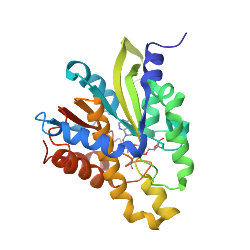 RCSB PDB - 5ZDG: Crystal structure of poly(ADP-ribose 
