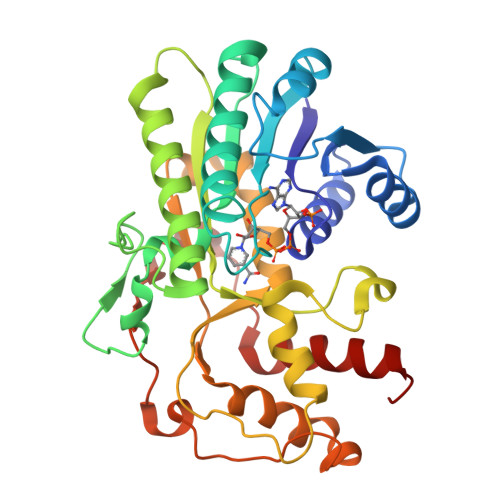 RCSB PDB - 5ZED: Crystal structure of Kluyveromyces polyspora ADH