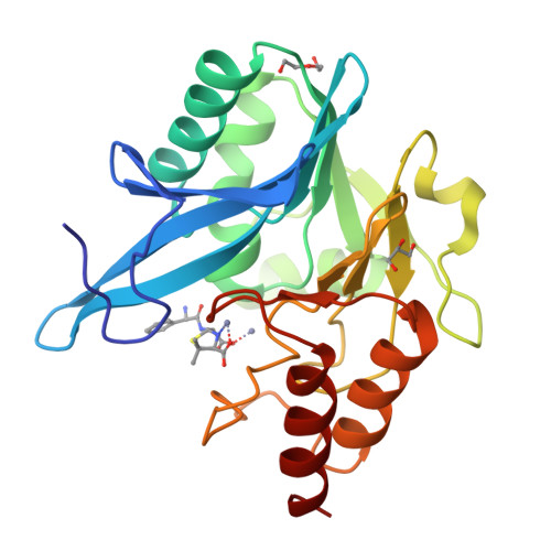 RCSB PDB - 5ZGP: Crystal Structure Of NDM-1 At PH6.2 (Bis-Tris) In ...