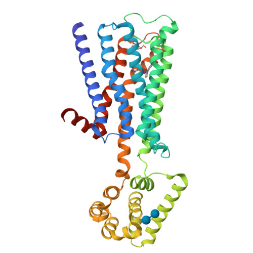 muscarinic acetylcholine receptor