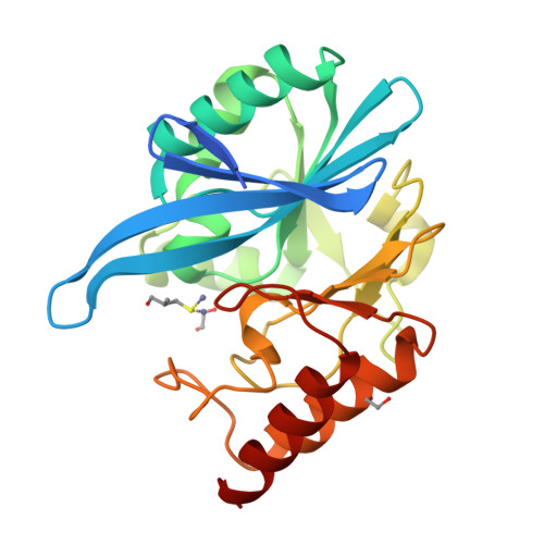 RCSB PDB - 5ZJC: Crystal Structure Of NDM-1 In Complex With D-captopril ...