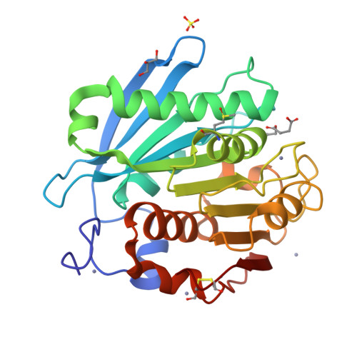 RCSB PDB - 5ZRR: Crystal structure of PET-degrading cutinase