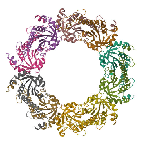 RCSB PDB - 5ZTE: Crystal structure of PrxA C119S mutant from