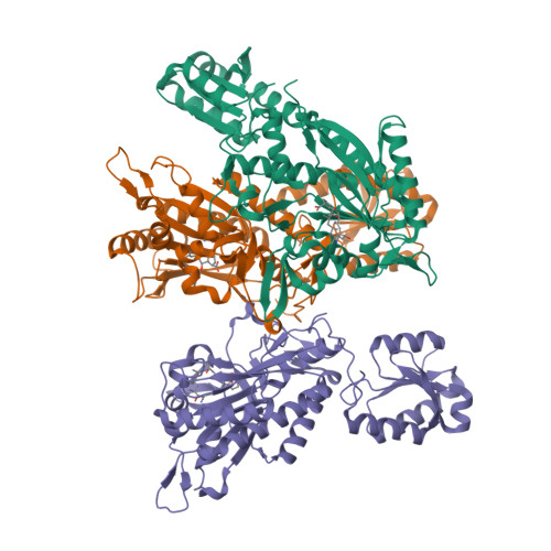 Threonyl-tRNA synthase structure