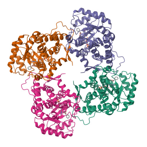 RCSB PDB - 5ZZX: The crystal structure of Mandelate oxidase mutant ...