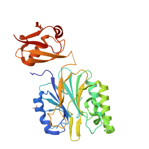 RCSB PDB - 6A44: R1EN(5-227)-ubiquitin fusion
