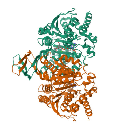 RCSB PDB - 6AJC: Crystal structure of Trypanosoma cruzi cytosolic ...