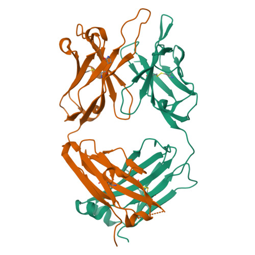 RCSB PDB - 6AL4: CRYSTAL STRUCTURE OF ANTI-CD19 ANTIBODY B43 FAB