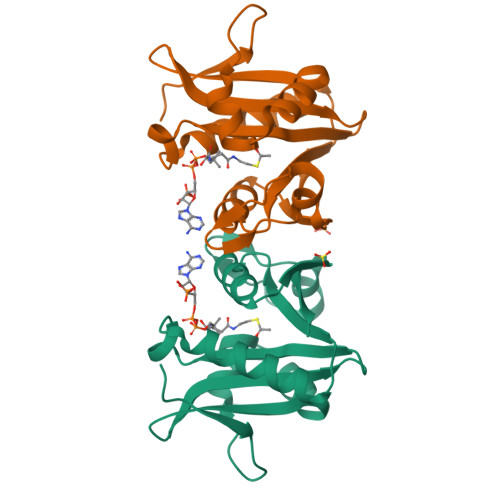 RCSB PDB - 6AO7: Crystal Structure of a GNAT family