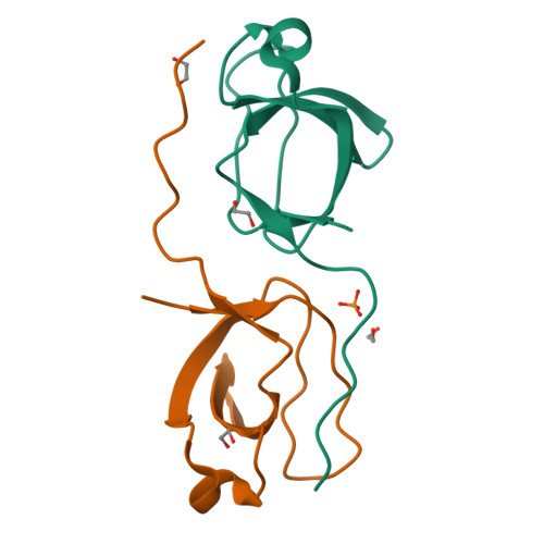 Rcsb Pdb 6aqb Structure Of The Sh3 Domain Of Mlk3 Bound To Peptide Generated From Phage Display