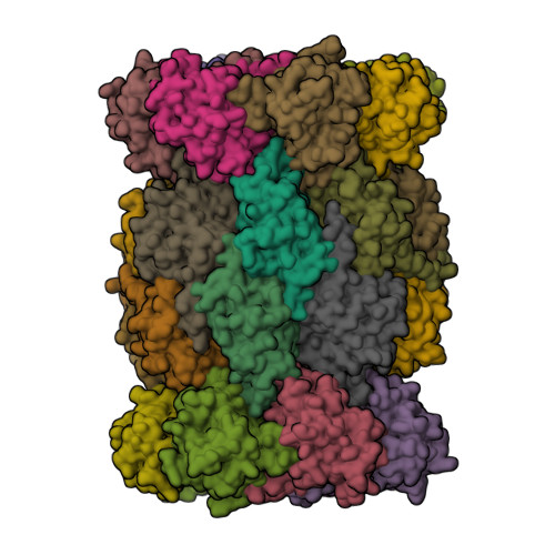 PDB 6AVO