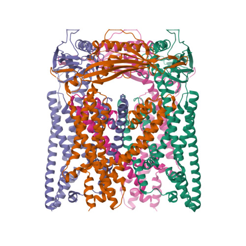Mucolipin-3 structure