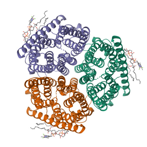 RCSB PDB - 6B21: Crystal structure of AmtB from E. coli bound to ...