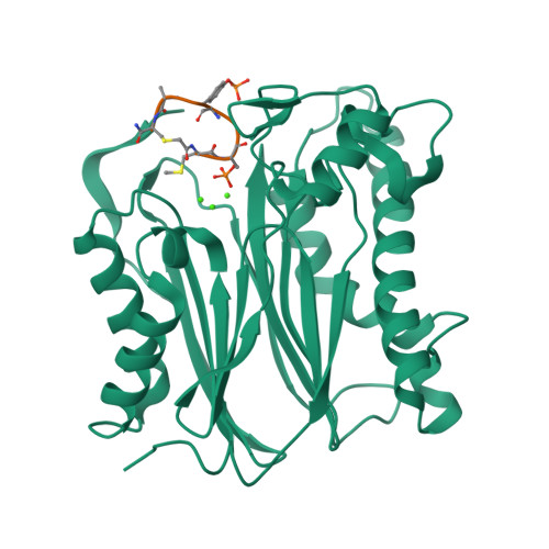 RCSB PDB - 6B67: Human PP2Calpha (PPM1A) complexed with