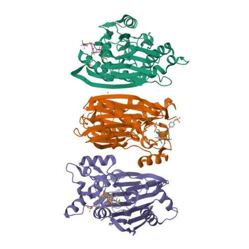 B'z 会報　　be with Vol.010〜015  .017 B'z 会報 be with Vol.010〜015 .017 B'z 会報 be with Vol.