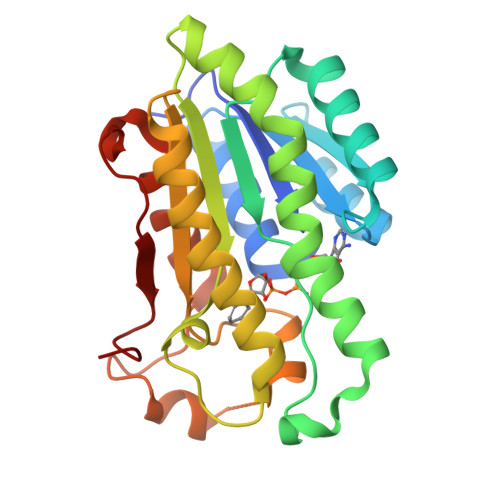 rcsb pdb - 6pt7: structure of kate1 catalase from... RCSB PDB - 6B9U: Crystal structure of 3-ketoacyl-(acyl-carrier-protein ...