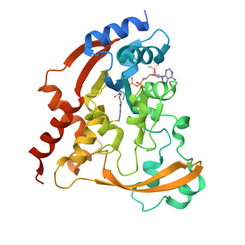 RCSB PDB - 6BC4: Cryo X-ray structure of acetyl coenzyme A bound AAC-VIa