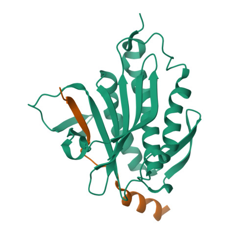 RCSB PDB - 6BCD: Crystal Structure Of Rev7-K44A/R124A/A135D In Complex ...