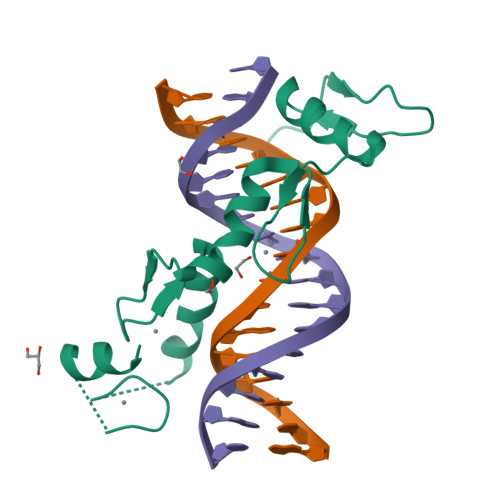 RCSB PDB 6BLW Zinc finger Domain of WT1(+KTS form) with M342R Mutation and 17+1mer