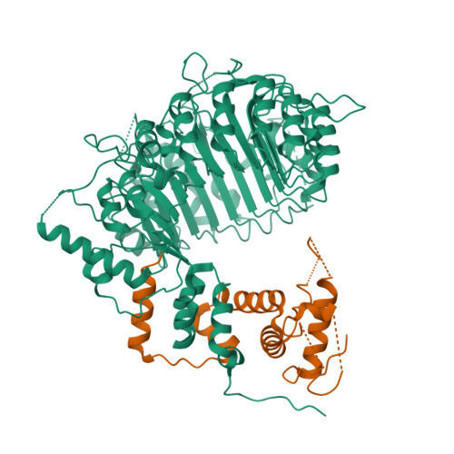 RCSB PDB - 6BRO: Crystal structure of ASK1-D3 ubiquitin ligase form1