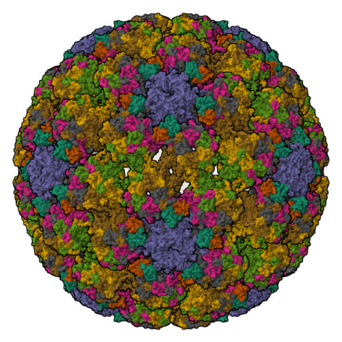 RCSB PDB 6BSP High Resolution Structure Analysis Of Antibody V5 And