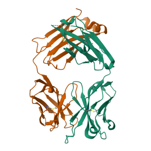 RCSB PDB - 6BTJ: Crystal structure of pan-H7, anti-hemagglutinin ...