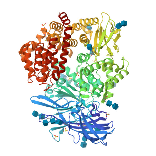 RCSB PDB - 6BUY: Crystal structure of porcine aminopeptidase-N