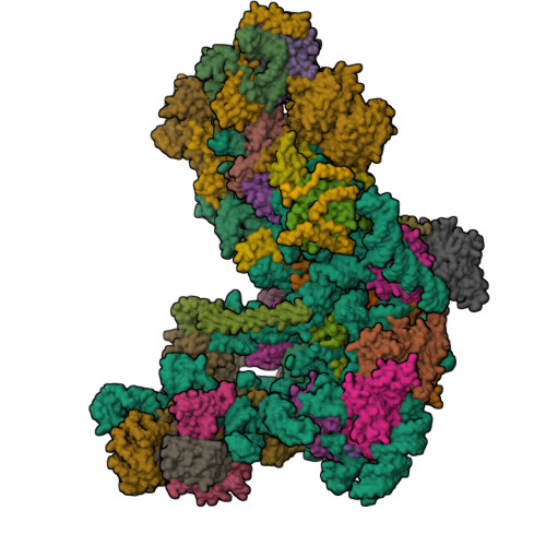 RCSB PDB - 6C0F: Yeast nucleolar pre-60S ribosomal subunit (state 2)