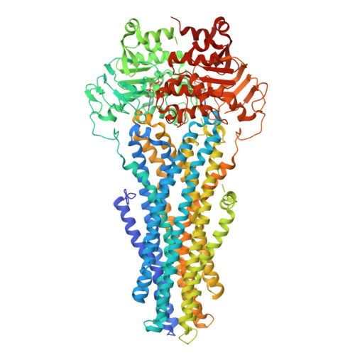 RCSB PDB - 6C0V: Molecular structure of human P-glycoprotein in the ATP ...