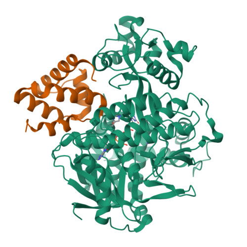 RCSB PDB - 6C12: SDHA-SDHE complex
