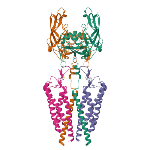 Pcdh15 Structure RCSB PDB - 6C14: CryoEM structure of mouse PCDH15-1EC-LHFPL5 complex