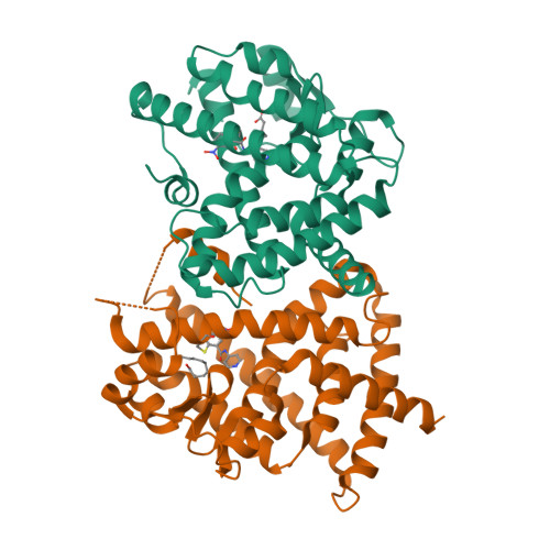 [実物] ボディーアーマーCivil nuclear Constabulary Nukenstein on X: 