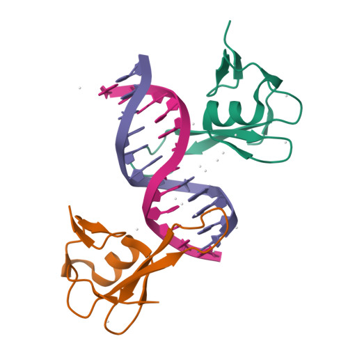 RCSB PDB - 6C1V: MBD2 in complex with double-stranded DNA