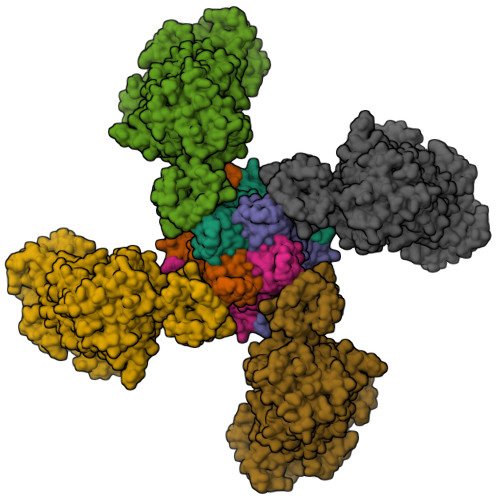 RCSB PDB - 6C3P: Cryo-EM structure of human KATP bound to ATP and ADP ...