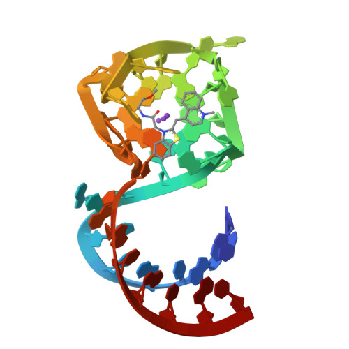 RCSB PDB - 6C63: Crystal Structure of the Mango-II Fluorescent