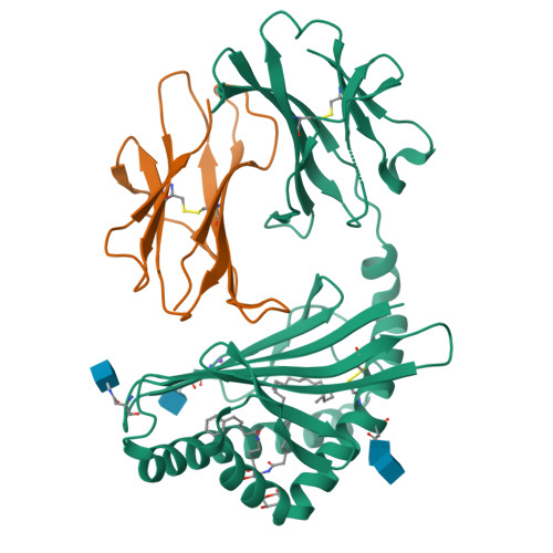 RCSB PDB - 6C6E: Structure of glycolipid aGSA[26,6P] in complex with ...