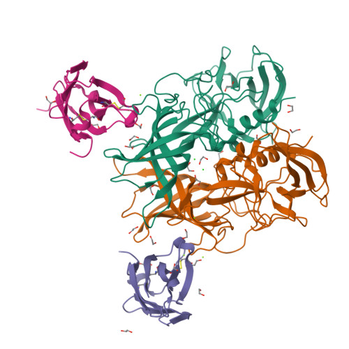 RCSB PDB - 6C6Q: Crystal Structure of the Murine Norovirus