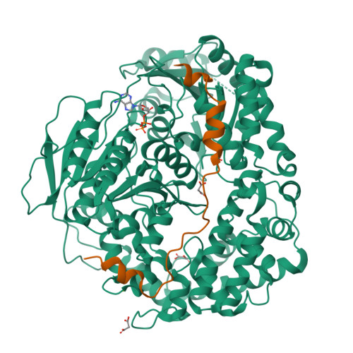 PDB 6C90