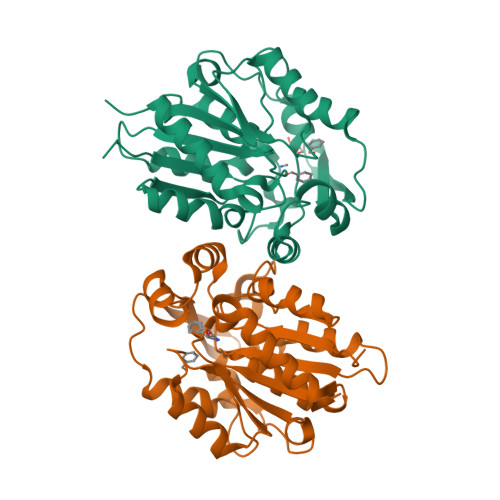 RCSB PDB - 6COI: AtHNL enantioselectivity mutant At-A9-H7 Apo 