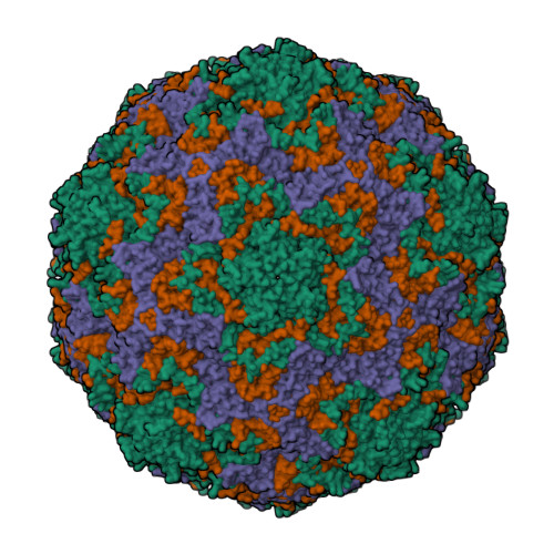 RCSB PDB - 6CVB: CryoEM structure of human enterovirus D68 in complex ...