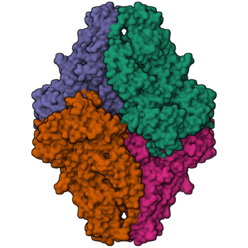 Rcsb Pdb - 6cvm: Atomic Resolution Cryo-em Structure Of Beta-galactosidase