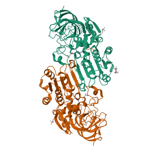 RCSB PDB - 6CXX: Horse liver E267H alcohol dehydrogenase