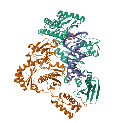 36DN assembly