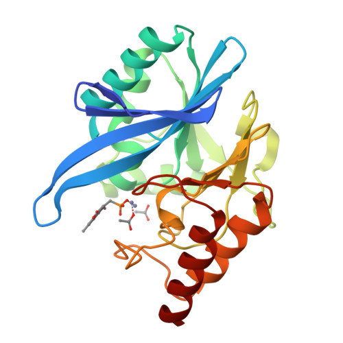 RCSB PDB - 6D1E: Crystal Structure Of NDM-1 Complexed With Compound 7