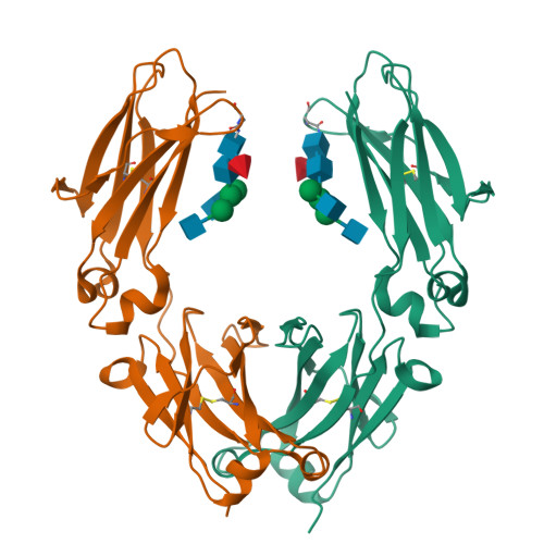 RCSB PDB - 6D4I: Crystal Structure of a Fc Fragment of Rhesus macaque ...