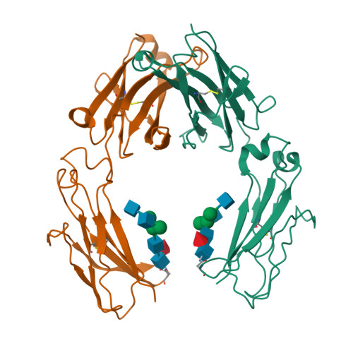 RCSB PDB - 6D4M: Crystal Structure of a Fc Fragment of Rhesus macaque ...