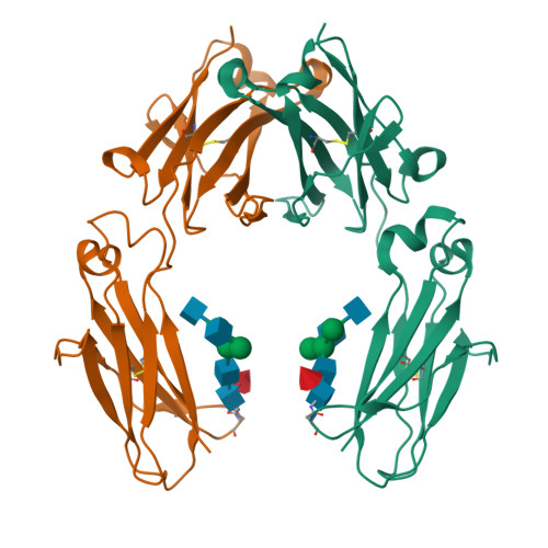 RCSB PDB - 6D4N: Crystal structure of a Fc fragment of Rhesus macaque ...